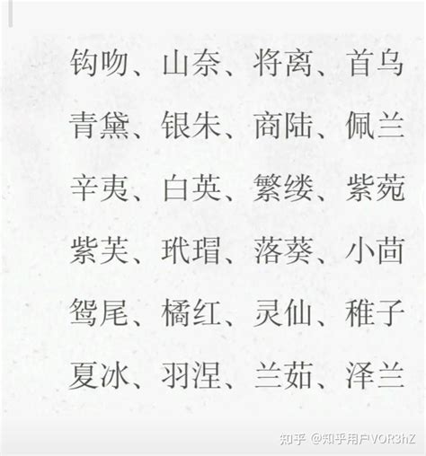 好聽名字|取中文名字